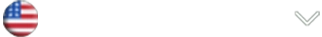 Language-swicther main